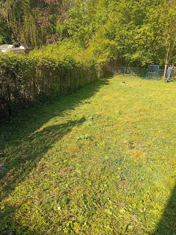 Débroussaillage de terrain